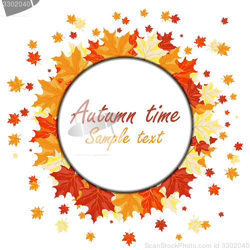 Image of Autumn maple leaves 