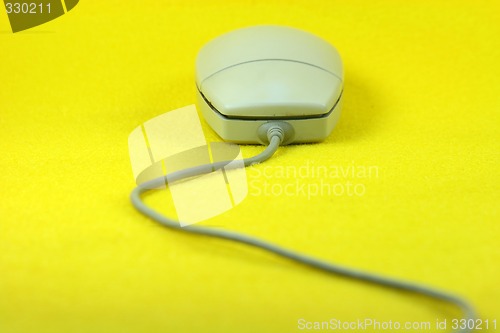 Image of mouse horizontal