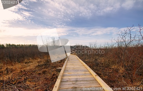 Image of recreational tour trail road