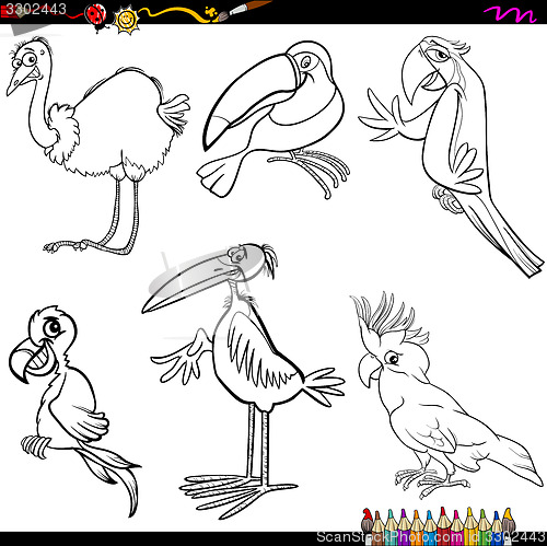 Image of birds cartoon coloring page