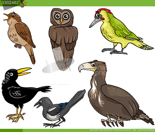 Image of birds cartoon set illustration