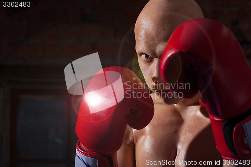 Image of Portrait of a boxer