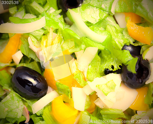 Image of Assorted green leaf lettuce with squid and black olives