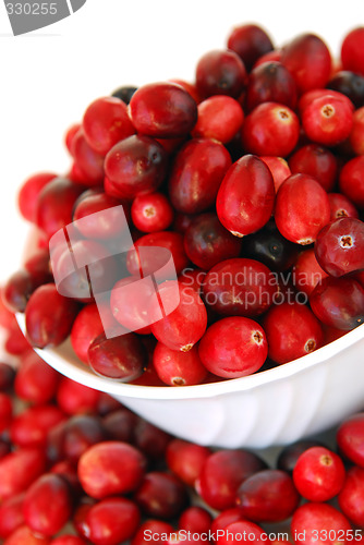 Image of Cranberries in a bowl