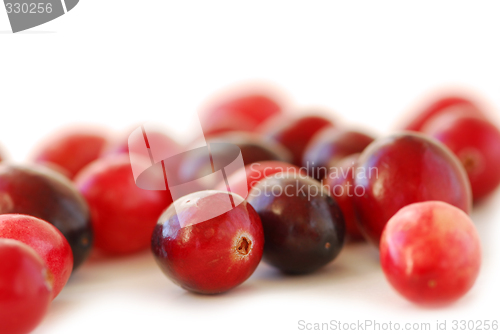 Image of Cranberries macro