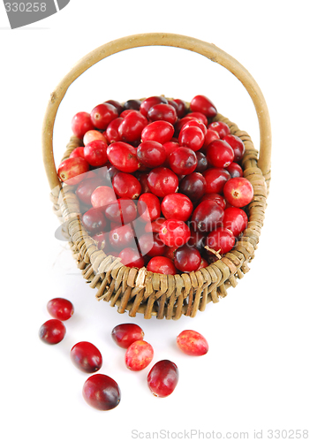 Image of Cranberries in a basket