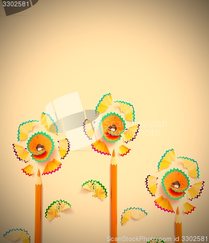 Image of three pencil flowers