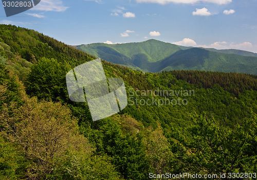 Image of Spring hilly landscape. Tuscany, Italy