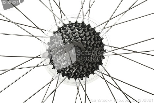 Image of Bicycle wheel