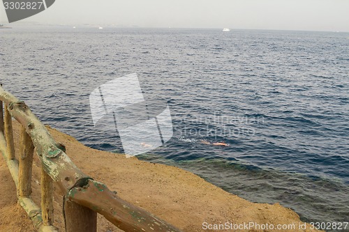 Image of Egypt. Snork Linguists examine coral reef