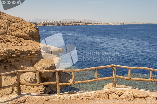 Image of Red Sea coastal coral reef