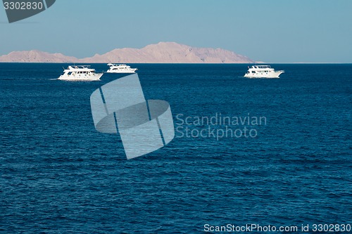 Image of Yacht in the Red Sea hot, sunny day
