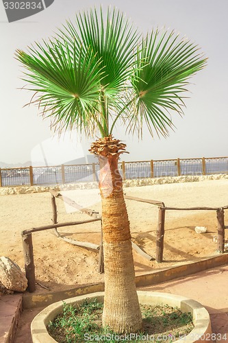 Image of Beach landscape