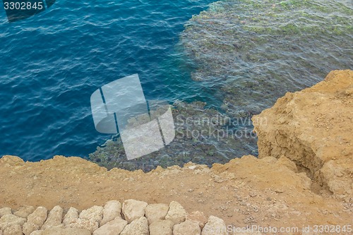 Image of Red Sea coastal coral reef