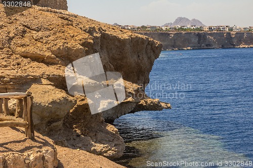 Image of Red Sea coastal coral reef