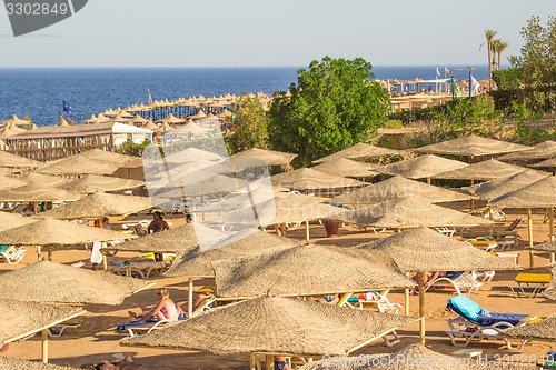 Image of Beach landscape