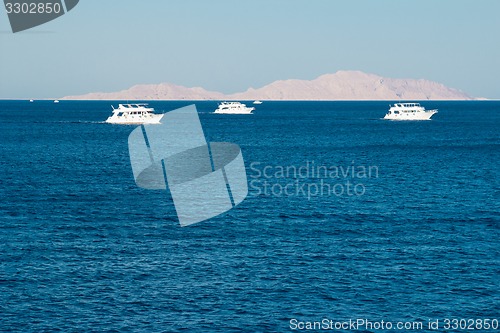 Image of Yacht in the Red Sea hot, sunny day