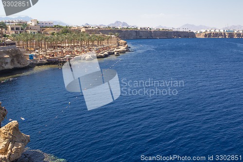 Image of Red Sea coastal coral reef