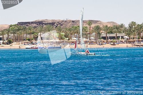 Image of Beach landscape