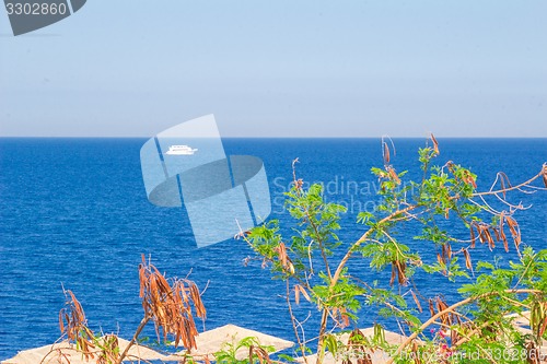 Image of Yacht in the Red Sea hot, sunny day