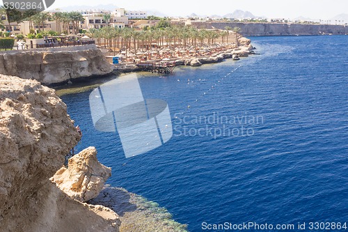 Image of Red Sea coastal coral reef