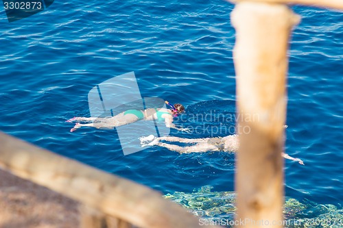 Image of Egypt. Snork Linguists examine coral reef