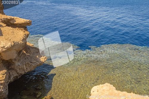 Image of Red Sea coastal coral reef