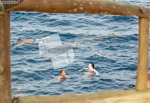 Image of Egypt. Snork Linguists examine coral reef