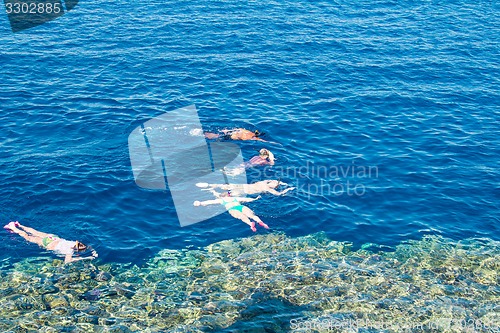 Image of Egypt. Snork Linguists examine coral reef