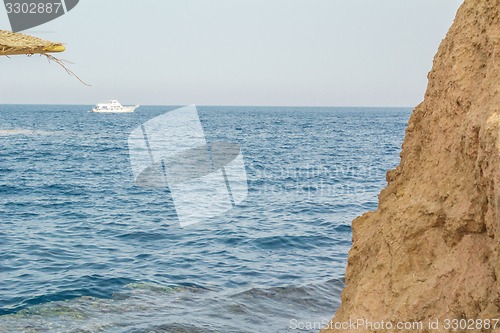 Image of Red Sea coastal coral reef