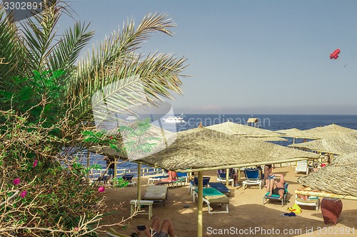 Image of Beach landscape
