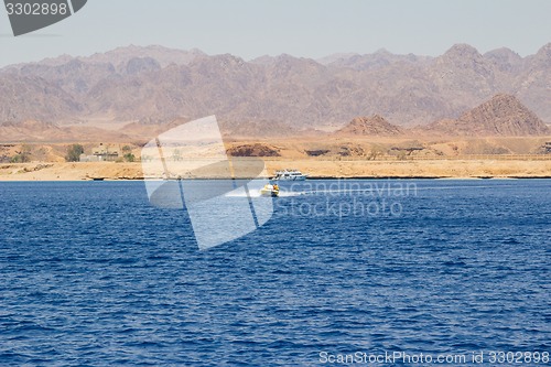 Image of Powerboat racing at high speed in the Red Sea