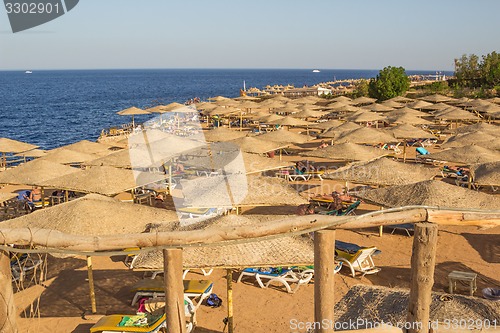 Image of Beach landscape