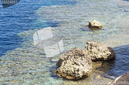 Image of Red Sea coastal coral reef