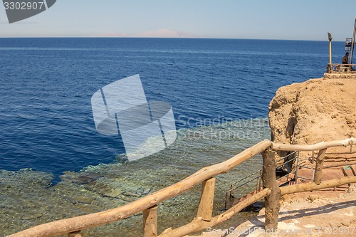 Image of Red Sea coastal coral reef