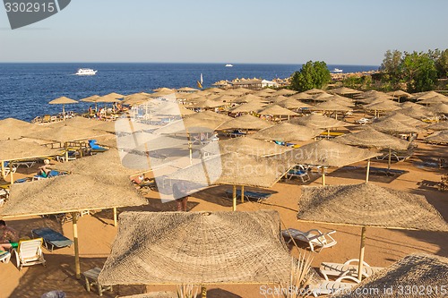 Image of Beach landscape