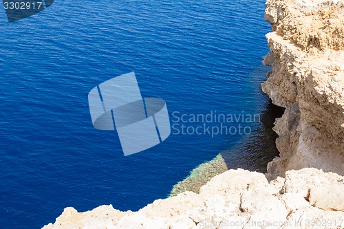 Image of Red Sea coastal coral reef