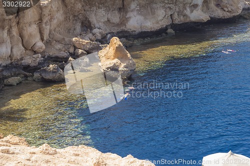 Image of Egypt. Snork Linguists examine coral reef