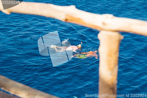 Image of Egypt. Snork Linguists examine coral reef