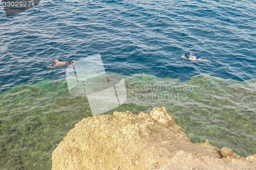 Image of Egypt. Snork Linguists examine coral reef