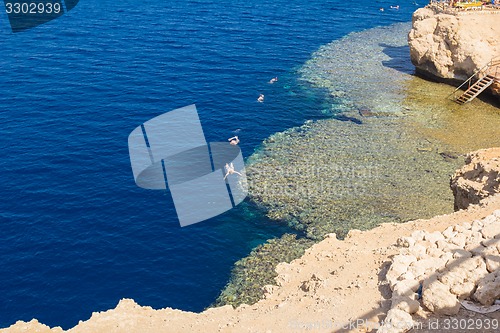 Image of Egypt. Snork Linguists examine coral reef