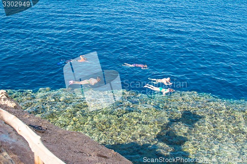 Image of Egypt. Snork Linguists examine coral reef