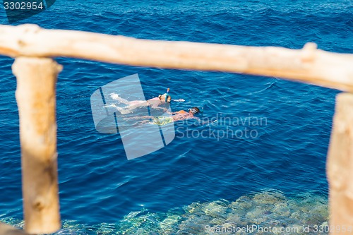 Image of Egypt. Snork Linguists examine coral reef