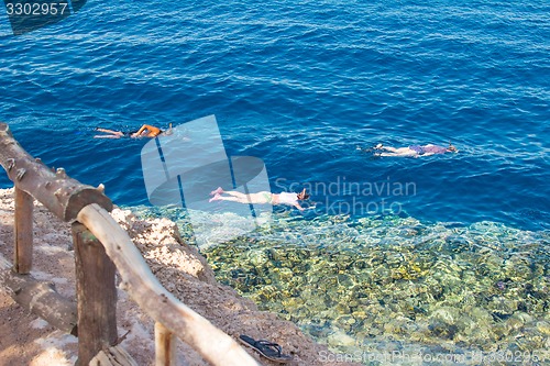 Image of Egypt. Snork Linguists examine coral reef