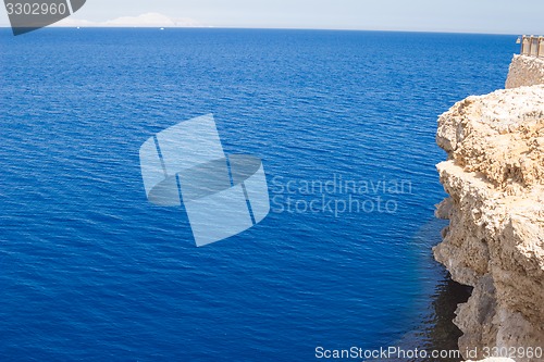 Image of Red Sea coastal coral reef