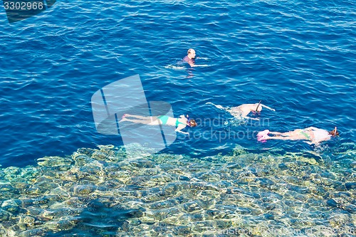 Image of Egypt. Snork Linguists examine coral reef