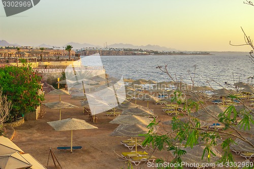 Image of Beach landscape