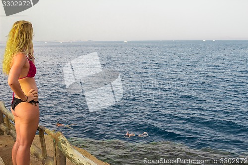 Image of Egypt. Snork Linguists examine coral reef