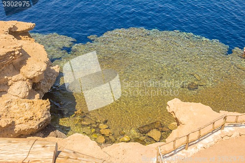 Image of Red Sea coastal coral reef