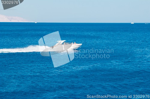 Image of Powerboat racing at high speed in the Red Sea